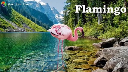 Learning Wild Animals Names and Sounds for kids | Learning Wild Animals for Kids