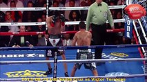 Leo Santa Cruz Knock Outs