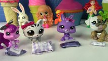 Fan Mail #15 - Mystery Surprise LPS Mommies Gifts Littlest Pet Shop Toy Opening
