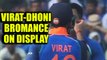 India vs NZ 1st ODI : Virat Kohli- MS Dhoni's bonding witnessed at Wankhede| Oneindia News