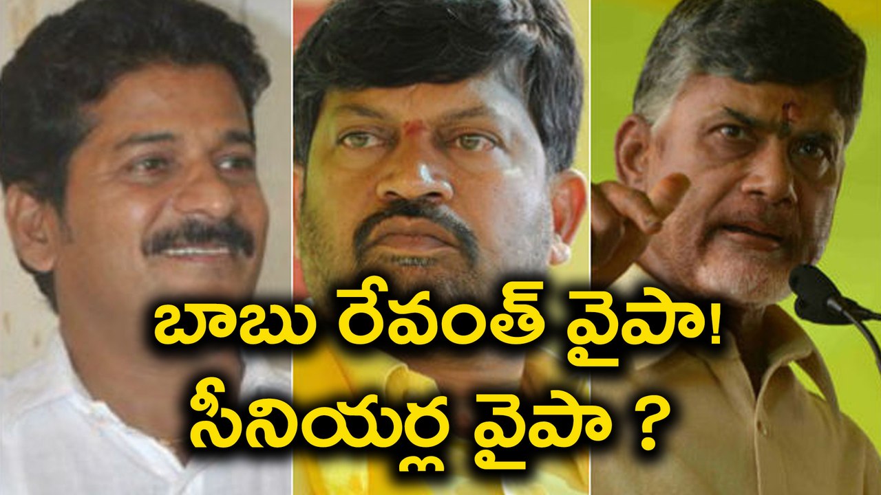 Revanth Reddy VS TDP senior leaders బాబు రేవంత్ వైపా!, సీనియర్ల వైపా! అదే జరిగితే? | Oneindia Telugu