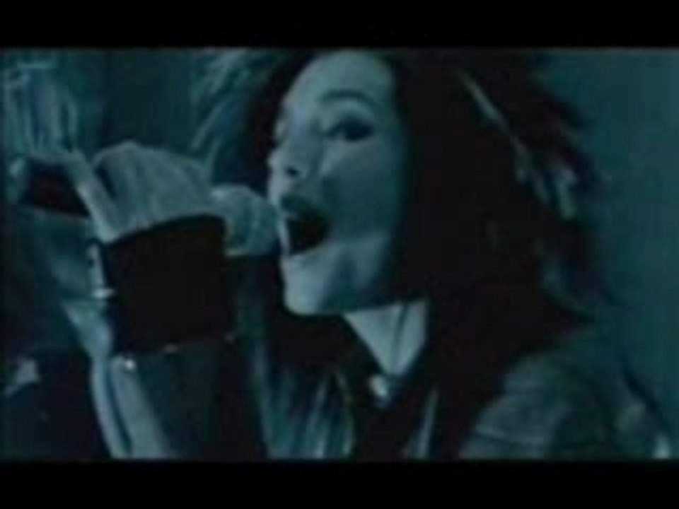 Bilder aus  1000 Meere