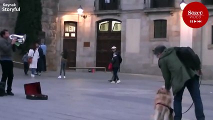 Sokak müziği ile büyülenen köpek