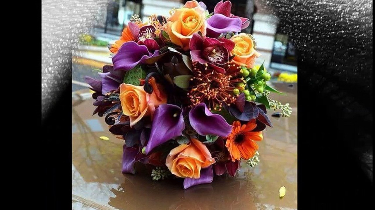 cheb Khalas et cheba Ghania  ( 3eche9a beddela )  ,  الشاب خلاص و الشابة غنية ( عاشقة بالدالة )