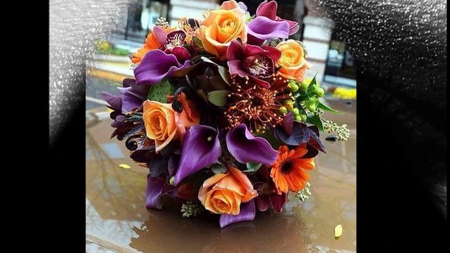 cheb Khalas et cheba Ghania ( 3eche9a beddela ) , الشاب خلاص و الشابة غنية ( عاشقة بالدالة )