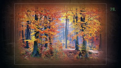 7th Floor Tango, Family Tradition, Take you, Gypsy Stroll,Romantic