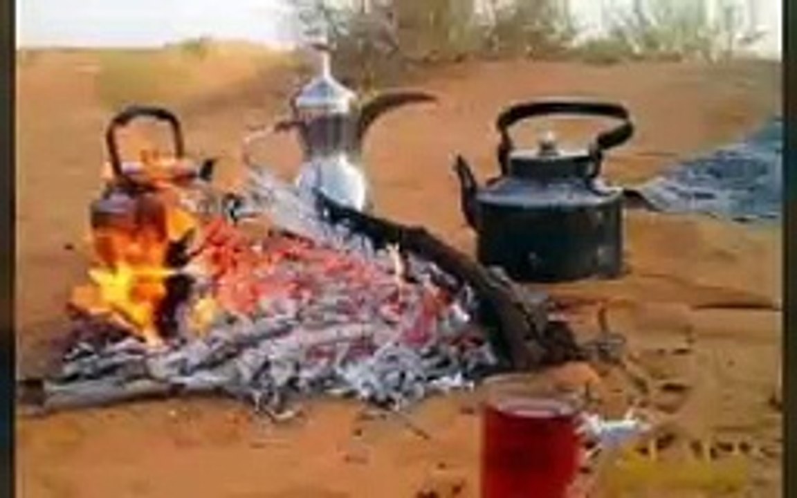 ربابة صالح رمضان قديم