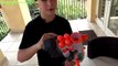 New Nerf Modulus Tri-Strike Blaster with Robert-Andre!