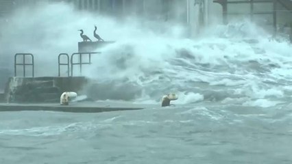 Tufão Lan toca terra no leste do arquipélago nipónico