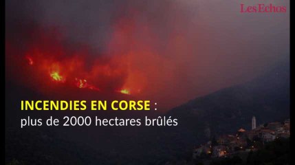 Incendies en Corse : plus de 2000 hectares brûlés