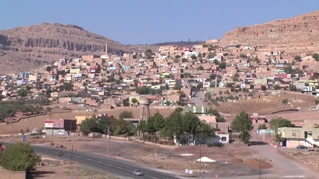 Şehit Kaymakamın Dünyaya Tanıtmak İstediği Zeytin Dalında Satıldı