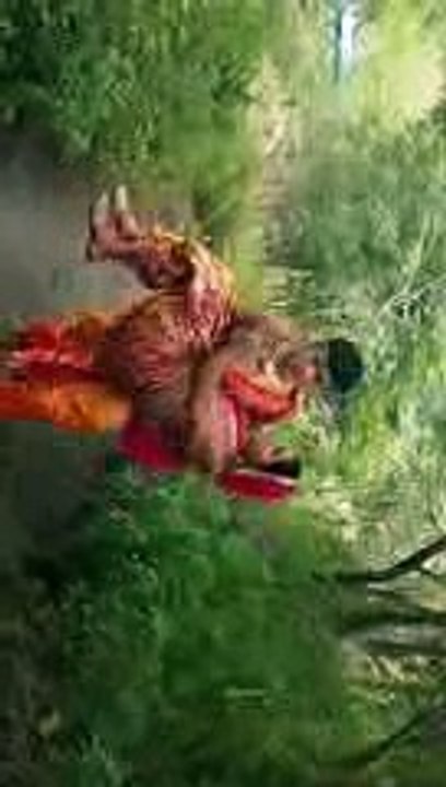Dharma Love Story Upcoming Promo Chandra Nandini Video Share Sidharth Nigam Aka Bindusar 