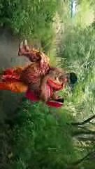 Dharma Love Story Upcoming Promo Chandra Nandini Video Share Sidharth Nigam Aka Bindusar 