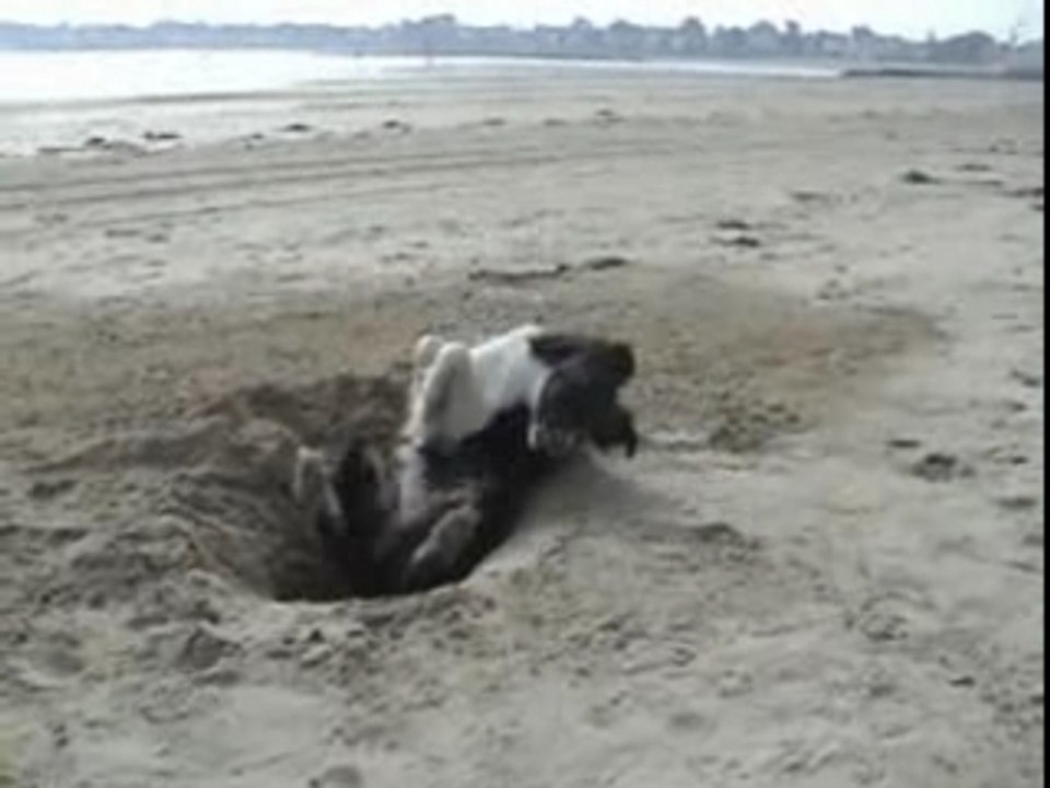 Jade à la plage
