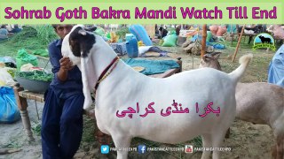 728 || Bakra Mandi 2018/2019 || Goat Farming in Pakistan || Best Goat video Watch Till End