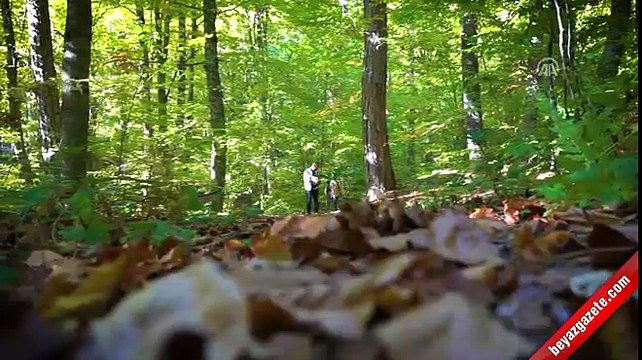 Domaniç Dağları sonbaharın renklerine büründü