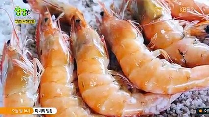 2TV 생생정보.E631.171023 -2