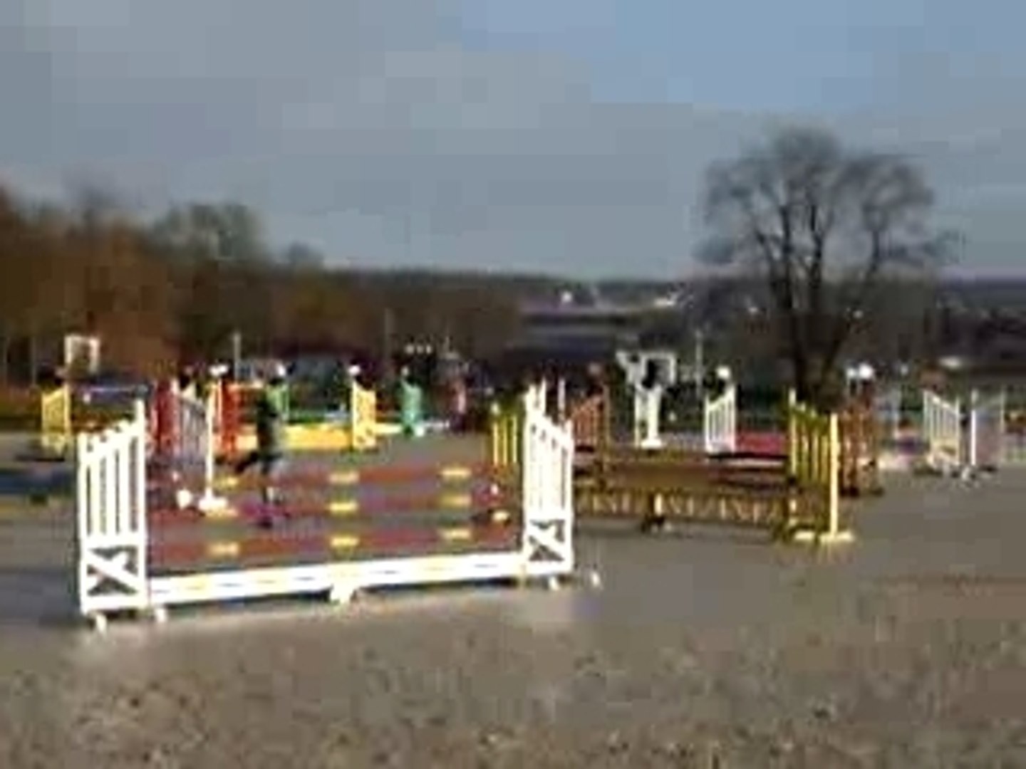 Léa Java Hippo