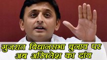 Akhilesh Yadav announce Samajwadi Party will fight on 5 seats in Gujarat Election 2017 । वनइंडिया
