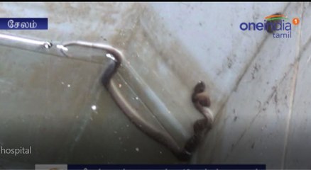 சுகாதாரமின்றி இருந்த தனியார் மருத்துவமனைக்கு 10 லட்சம் அபராதம்-வீடியோ