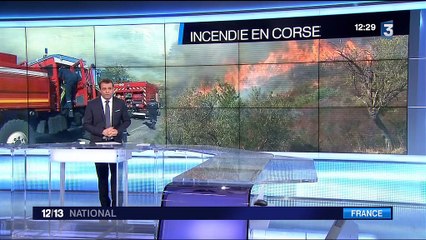 Corse : la sécheresse, principale cause d'incendies