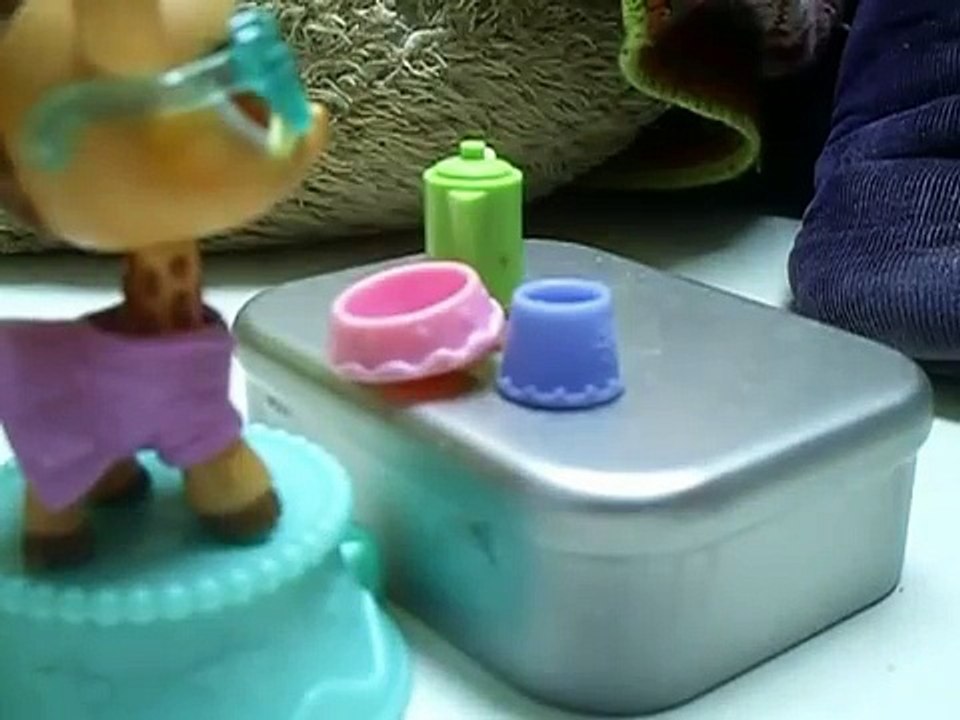 Histoire petshop :pourquoi je suis une princesse?