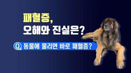 [이브닝] 패혈증에 대한 오해와 진실 / YTN