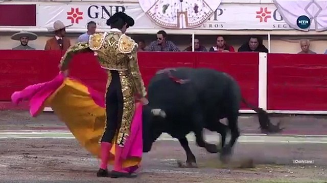 Horrific moment bullfigter is good in heart and survives