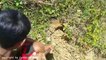 Terrifying!! Two Little Brothers Catch Four Big Snakes From One Hole