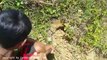 Terrifying!! Two Little Brothers Catch Four Big Snakes From One Hole