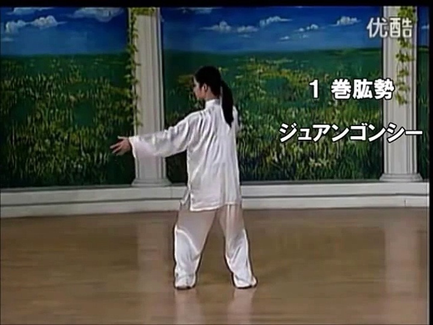 Tai Ji Quan 10 Form Yang Style Back View Video Dailymotion