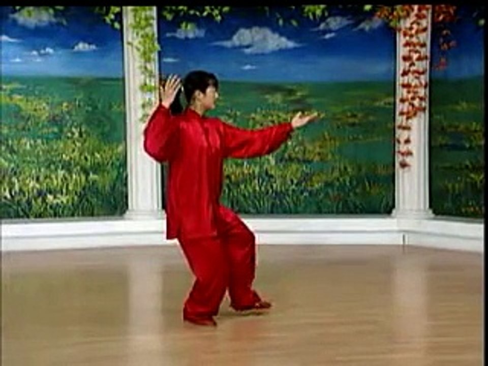 Tai chi chuan - 16 form - Yang style