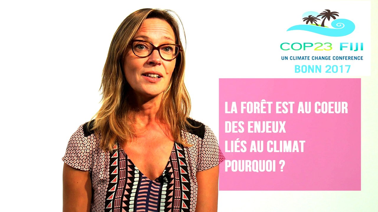 Les experts alim'agri : "Les sols forestiers et les arbres sont des puits de carbone"