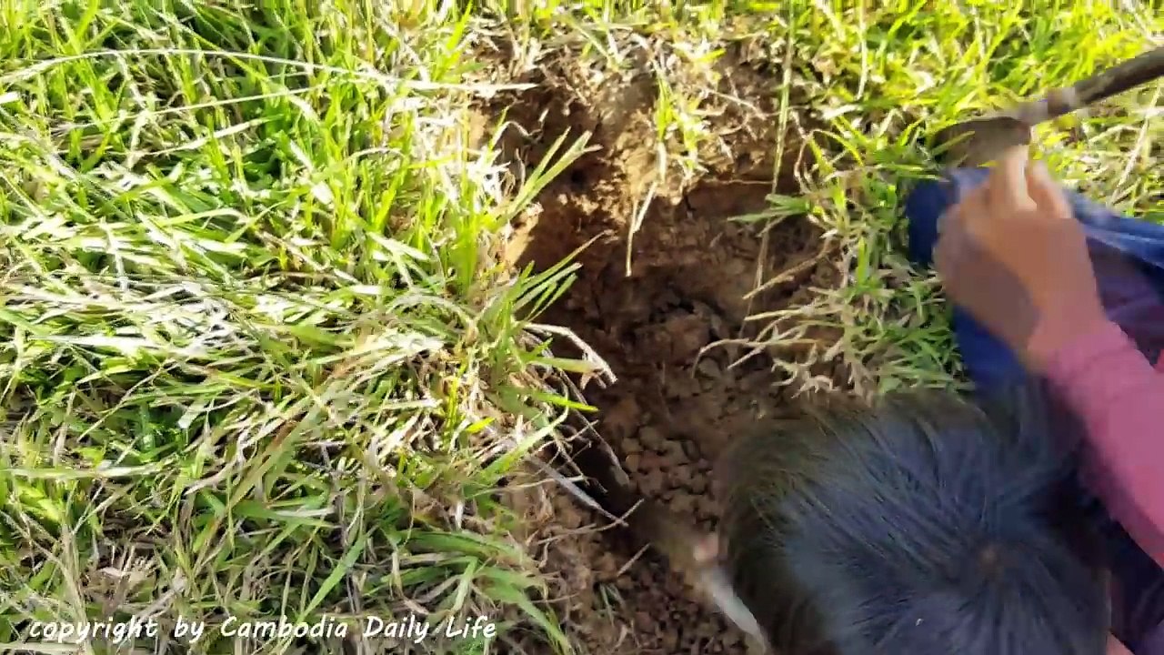 Terrifying!! Little Sister And Brother Catch Two Big Snakes From Hole (Part 4)