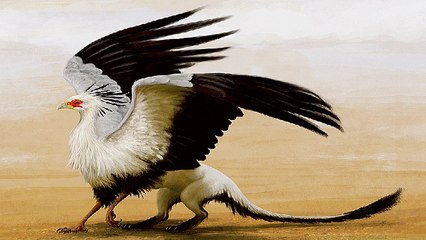 Rắn mà gặp loài chim này thì chỉ có nước từ chết đến bị thương