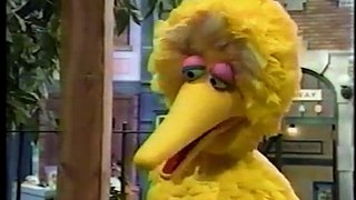 Sesame Street - Big Bird Plays with the Big Bad Wolf