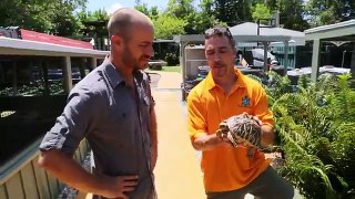 Worlds Craziest Turtle House! Kamp Kenan S1 Episode 14