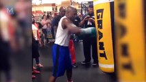 Floyd Mayweather Training Highlights 2016 | Muscle Madness