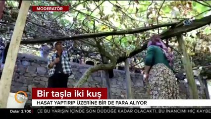 Bir taşla iki kuş