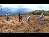 Música Campesina - La Vida del Campesino - Grupo: Río Negro en Carranga - Jesús Méndez Producciones