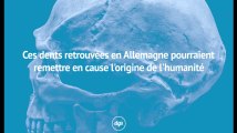 Ces dents trouvées en Allemagne remettent en cause ce que nous savons sur l’histoire de l’humanité