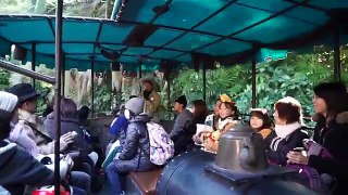 Jungle Cruise: Wildlife Expeditions Ride POV Tokyo Disneyland