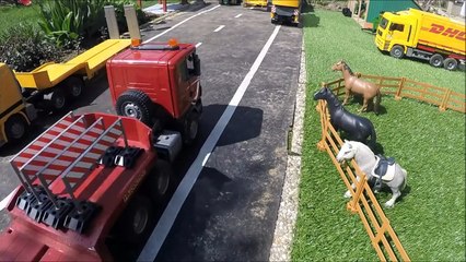 BRUDER TRUCK Crash Cat Excavator !