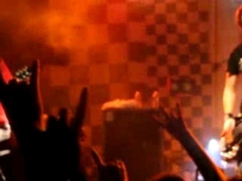 killerpilze - Sommer