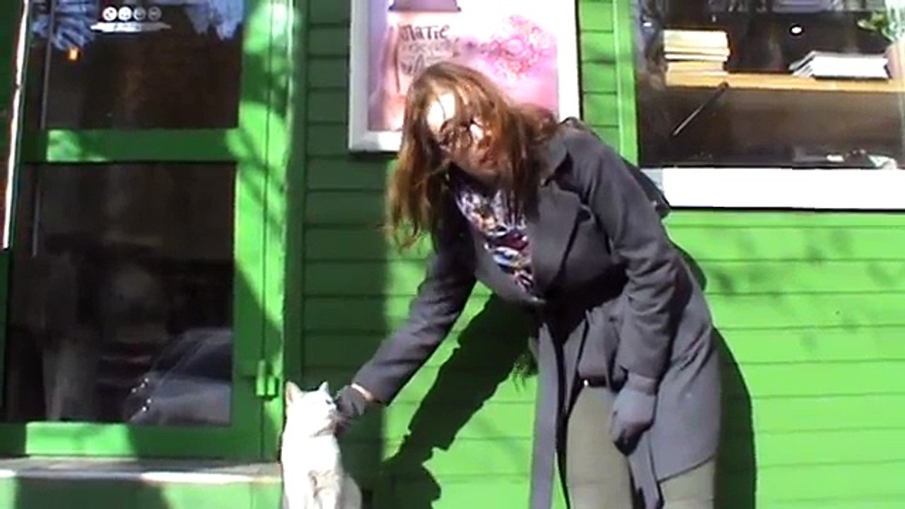 Кошка и фанатка Настя