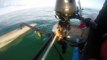 Incroyable sauvetage d'un iguane perdu en plein Océan Atlantique !
