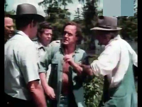 Moon of the Wolf (1972) - (Horror, Drama) [David Janssen, Barbara Rush, Bradford Dillman] [Trailer]