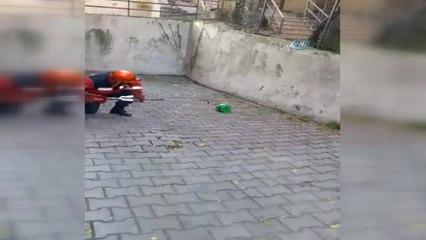 İtfaiyeden Zehirli Yılan Operasyonu