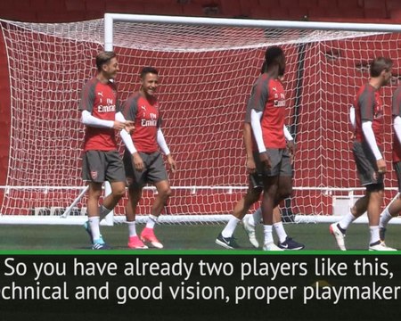 Manchester United don't need Ozil - Silvestre