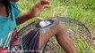 Wow! Amazing Smart Little Girl Catch Big Snakes Using Fan Guard Trap - How To Catch Snake